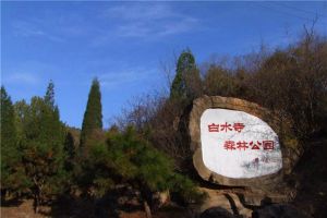 白水寺森林公園