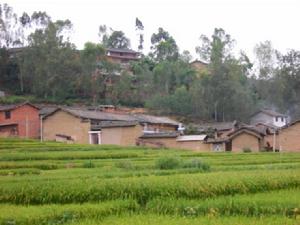 土官莊上村 土官莊上村