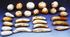 （圖）康陵[東漢]