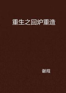 重生之回爐重造 重生之回爐重造