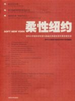 柔性紐約 柔性紐約
