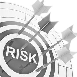 風險尋求傾向 風險尋求傾向