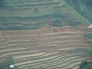 梯田
