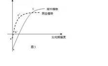光照強度與光合作用強度曲線圖