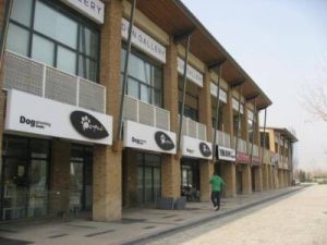 北京商業研究 北京商業研究