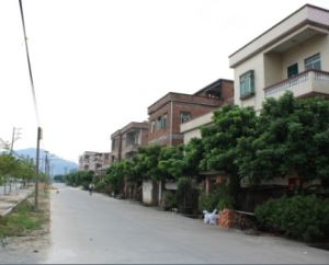 沙滘社區 沙滘社區