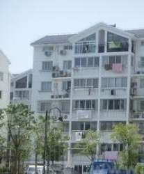 新天地家園 新天地家園