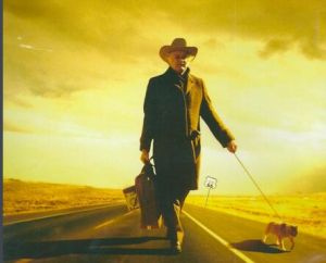 老人與貓 老人與貓