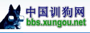 訓狗網 訓狗網