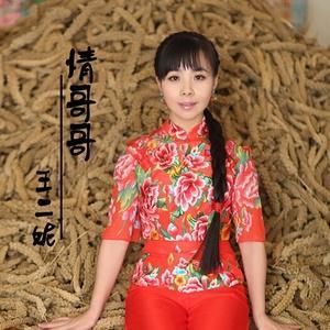 情哥哥[王二妮演唱歌曲]