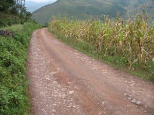 青龍山自然村 青龍山自然村