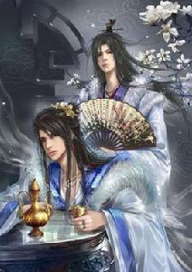 將軍王妃 將軍王妃