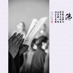 成道日攝影紀實