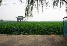 白雲湖風景區秀美風光