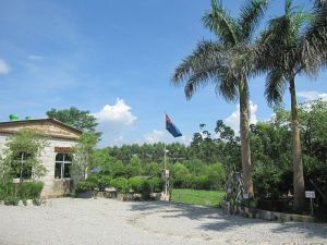 龍珠島[廣東省高要市龍珠島]