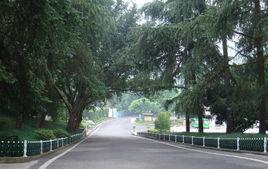 黨崗東村 黨崗東村