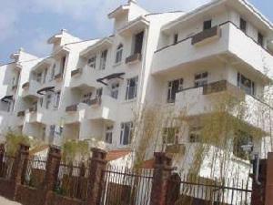 滇池春天 滇池春天