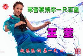 軍營里飛來一隻百靈 軍營里飛來一隻百靈