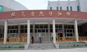 林芝自然博物館 林芝自然博物館