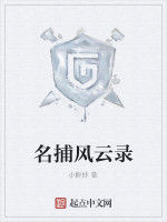 名捕風雲錄 名捕風雲錄