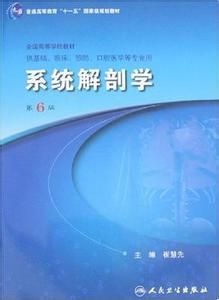 系統解剖學 系統解剖學