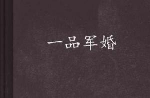 一品軍婚