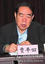 老生[賈平凹作品]