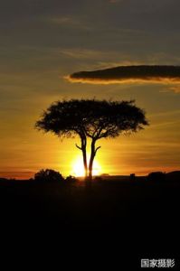 夕陽[法國詩人魏爾倫詩歌]