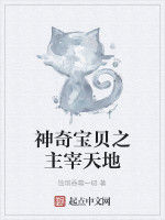 神奇寶貝之主宰天地 神奇寶貝之主宰天地