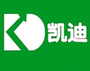 凱迪電力 凱迪電力