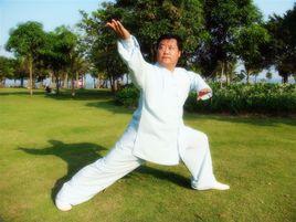 李派太極拳 李派太極拳