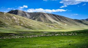 祁連山南麓祁連縣境內草場