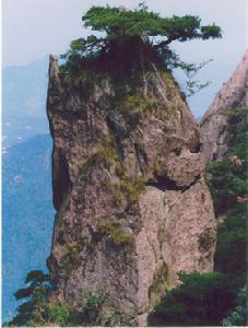 九華山國家森林公園