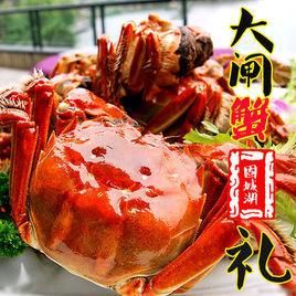 固城湖大閘蟹 固城湖大閘蟹