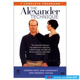 亞歷山大建設技術