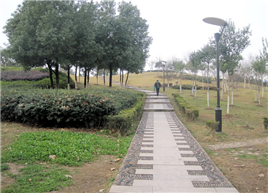 新華六村社區 新華六村社區