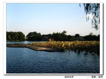 西湖十景