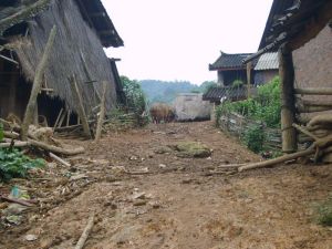 爛田上寨自然村 爛田上寨自然村