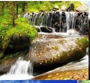 黃捻子溝國家級森林公園 黃捻子溝國家級森林公園