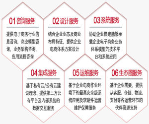企業級電子商務解決方案 企業級電子商務解決方案