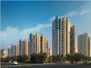 卓錦蘭香 卓錦蘭香