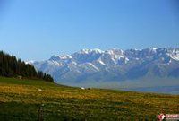 準葛兒盆地 準葛兒盆地