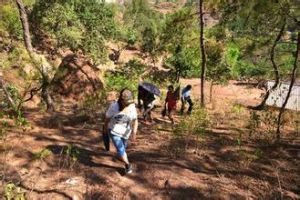 麻櫟山村 麻櫟山村