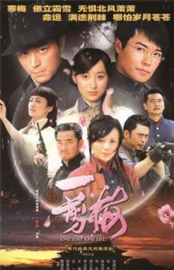 新一剪梅[2009年霍建華主演電視劇]