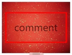 comment[計算機專業術語]