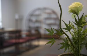 施小平[杭州紅儒家具公司掌門人]