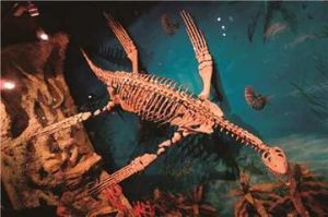 化石生物學 化石生物學