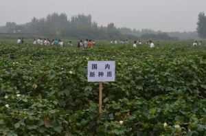 安陽市農業科學院 安陽市農業科學院