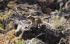 無尾港水鳥保護區 無尾港水鳥保護區