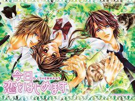 今天開始戀愛吧[水波風南作漫畫]